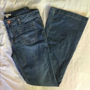 CAbi Denim Blue Flare Leg Size 12L